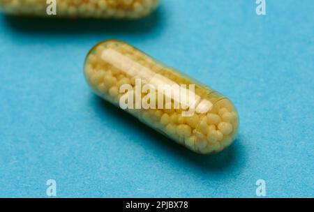 Transparente medizinische Kapseln mit gelbem Granulat innen auf blauem Hintergrund, Tabletten zur Behandlung, Vitamine Stockfoto