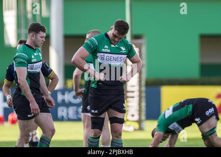 Treviso, Italien. 01. April 2023. Monigo Stadium, Treviso, Italien, 01. April 2023, 01/04/2023; Foto Alfio Guarise; Challenge Cup; Stadio Monigo Treviso; Benetton Treviso vs Connacht; Rugby; Ottavi di Finale; Benetton Treviso vs Connacht Rugby - Rugby Challenge Cup Credit: Live Media Publishing Group/Alamy Live News Stockfoto