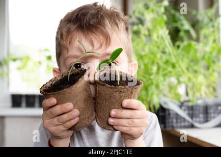 Gesunde Setzlinge, Hobbygärten. Der süße Junge untersucht und spielt zu Hause mit Pflanzen auf dem Fensterbrett. Lernbegriff und Fürsorge. Stockfoto