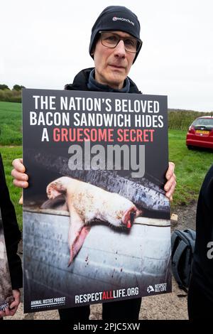 Bickmarsh, Alcester, Warwickshire, Großbritannien. 1. April 2023 Animal Justice Project organisierte Protest auf der Bickmarsh Hall Farm. Eine verdeckte Untersuchung durch das Animal Justice Project fotografierte und berichtete über die schrecklichen Bedingungen auf der Warwickshire Mega Farm, obwohl der Hof die Versicherung von Red Tractor hatte. Der Protest war, um die grausamen und schrecklichen Bedingungen für die Schweine auf dem Bauernhof hervorzuheben. Tierschützer protestiert am Straßeneingang, der zur Bickmarsh Hall Farm führt, und hält ein Plakat mit einem toten Schwein, das aus einem Abfalleimer herausragt. Kredit: Stephen Bell/Alamy Live News Stockfoto