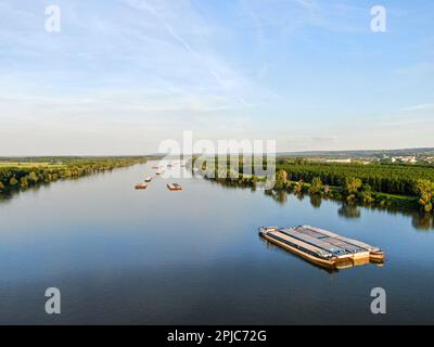 Schiffe auf der Donau nahe Novi Sad, Serbien Stockfoto