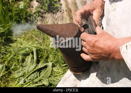 Imker mit Räuchertopf in der Imkerei draußen, Nahaufnahme Stockfoto