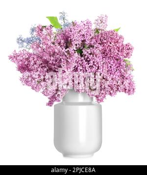 Schönen lila Blumen in der Vase isoliert auf weißem Stockfoto