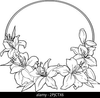 Vektorgrafiken. Lineare Freihandzeichnung eines Lilienrahmens. Aus der Kollektion HAARDEKORATION. Für das Design von Websites, Visitenkarten, Etiketten, Drucken von Postern auf Textilien und Geschirr. Vektordarstellung Stock Vektor
