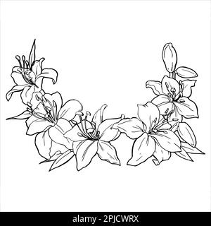 Vektorgrafiken. Lineare Freihandzeichnung eines Lilienrahmens. Aus der Kollektion HAARDEKORATION. Für das Design von Websites, Visitenkarten, Etiketten, Drucken von Postern auf Textilien und Geschirr. Vektordarstellung Stock Vektor