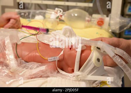 PRODUKTION - 17. März 2023, Sachsen, Leipzig: Auf der Neonatologie-Station des Universitätsklinikums (UKL) liegt die weltweit kleinste High-End-Patientensimulatorpuppe „Paul“ während eines Reanimationstrainings auf einem Tisch mit Atemmaske. Die blaue Farbe auf ihrem Kopf deutete darauf hin, dass sie ein Atemnotsyndrom hatte und Sauerstoff brauchte. Unter der Leitung des Chefarztes für Neonatologie, Prof. Dr. med. Matthias Knüpfer, Mitarbeiter nehmen am Reanimationstraining für kleinste Patienten mit dem Frühgeborenensimulator „Paul“ Teil. Sie sind Teil der Neonatologie-Teams des Stockfoto