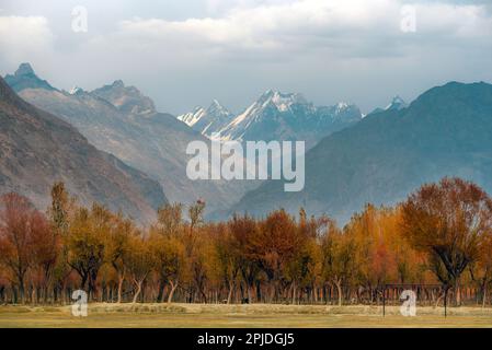 Herbstlandschaft mit Bergen und bunten Bäumen Stockfoto