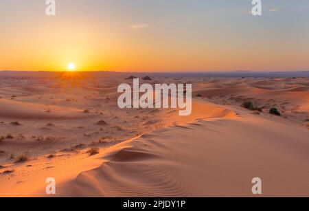 Sonnenuntergang über den Sanddünen in der Wüste. Trockene Landschaft der Sahara Stockfoto