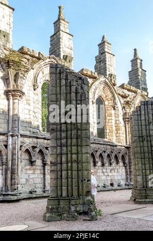 EDINBURGH, GROSSBRITANNIEN - 10. SEPTEMBER 2014: Dies sind die Ruinen der Bauwerke der Holyrood Abbey. Stockfoto