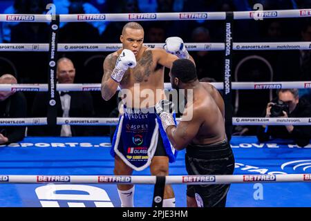 LONDON, VEREINIGTES KÖNIGREICH. 01. April 2023. Fabio Wardley gegen Michael Coffie – WBA Continental Heavyweight Title während Joshua gegen Franklin + Undercard Fight in der O2 Arena, London, Großbritannien, am Samstag, den 01. April 2023 in LONDON, ENGLAND. Kredit: Taka G Wu/Alamy Live News Stockfoto