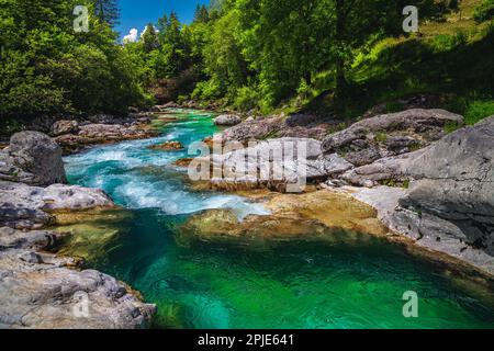 Wunderschöner Rafting- und Kajakplatz in Europa. Großartiger Erholungsort und Kajakziel. Majestätischer türkisfarbener Fluss Soca im grünen Wald, Bo Stockfoto