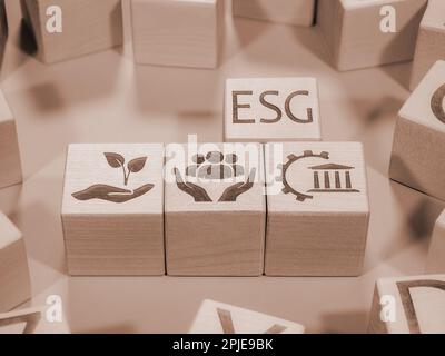 ESG-Symbole auf Holzblöcken als Konzept von Corporate-Governance-Prinzipien Stockfoto