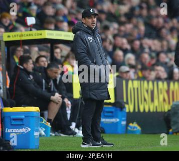 Norwich, Großbritannien. 1. April 2023. David Wagner Manager von Norwich City während des Sky Bet Championship Spiels in der Carrow Road, Norwich. Der Bildausdruck sollte lauten: Simon Bellis/Sportimage Credit: Sportimage/Alamy Live News Stockfoto