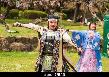 Ein japanischer Mann in Samurai-Bademänteln, der im japanischen Garten einen Schwerttanz aufführt, mit einer Frau hinter ihm in einer blauen, offenen Yukata-Jacke, die mit einem Fächer tanzt. Teil des Kirschblüten-Festivals im Frühling in Hon-Tatsuno, Japan. Stockfoto