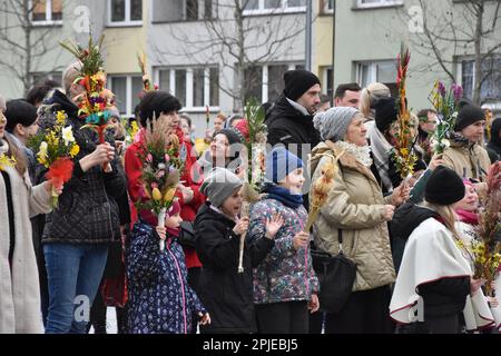 Lubin, Polen. 2. April 2023. Palmensonntag in Polen Katholiken feiern den Segen der Palmen in Polen (Bild: © Piotr Twardysko-Wierzbicki/ZUMA Press Wire) NUR REDAKTIONELLE VERWENDUNG! Nicht für den kommerziellen GEBRAUCH! Kredit: ZUMA Press, Inc./Alamy Live News Stockfoto