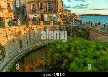 Die Fonte Aretusa ist ein Gewässer auf der Insel Ortigia, im ältesten Teil der sizilianischen Stadt Syrakus mit Papyrus-Pflanzen. Syrakus Stockfoto