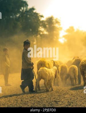 Karatschi Pakistan 2019, ein kleiner Junge, der am frühen Morgen in einem Dorf in Sindh, Pakistan, Schafhüter war. Stockfoto