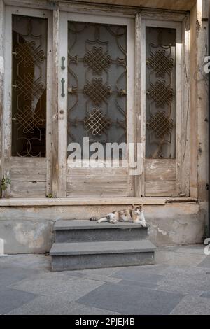 Streunende Katze vor einem einsamen Hauseingang. Stockfoto