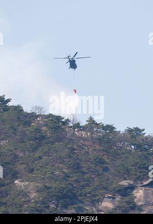 Seoul, Südkorea. 02. April 2023. (230402) -- SEOUL, 2. April 2023 (Xinhua) -- Ein Hubschrauber versucht, einen Waldbrand auf Mount Inwang in Seoul, Südkorea, zu löschen, 2. April 2023. Ein relativ großer Brand ereignete sich um 11:53 Uhr Ortszeit (0253 Uhr MEZ) auf dem Berg Inwang in Seoul, einem Berg in der Nähe des vorherigen Präsidentenamts des Landes. Die Feuerwehrbehörden hatten über drei Stunden lang versucht, ihn unter Kontrolle zu bringen, indem sie Hunderte von Beamten, neun Hubschrauber und andere Ausrüstung mobilisierten. Es wurden noch keine Opfer gemeldet, aber Bewohner von etwa 120 Haushalten waren evakuiert worden Stockfoto