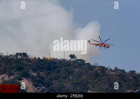 Seoul, Südkorea. 02. April 2023. (230402) -- SEOUL, 2. April 2023 (Xinhua) -- Ein Hubschrauber versucht, einen Waldbrand auf Mount Inwang in Seoul, Südkorea, zu löschen, 2. April 2023. Ein relativ großer Brand ereignete sich um 11:53 Uhr Ortszeit (0253 Uhr MEZ) auf dem Berg Inwang in Seoul, einem Berg in der Nähe des vorherigen Präsidentenamts des Landes. Die Feuerwehrbehörden hatten über drei Stunden lang versucht, ihn unter Kontrolle zu bringen, indem sie Hunderte von Beamten, neun Hubschrauber und andere Ausrüstung mobilisierten. Es wurden noch keine Opfer gemeldet, aber Bewohner von etwa 120 Haushalten waren evakuiert worden Stockfoto