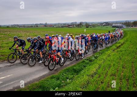 Oudenaarde, Belgien. 02. April 2023. Das Reiterpaket, das während des Herrenrenrenrenrennen der eintägigen Radtour „Ronde van Vlaanderen/Tour des Flandres/Tour of Flanders“, 273,4km Uhr, von Brügge nach Oudenaarde, Sonntag, den 02. April 2023, in Aktion gezeigt wurde. BELGA PHOTO DIRK WAEM Credit: Belga News Agency/Alamy Live News Stockfoto