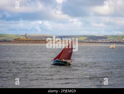 Segelboot mit roten Segeln, im Oktober vom Appledore Harbour in North Devon fotografiert Stockfoto