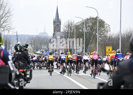 Oudenaarde, Belgien. 02. April 2023. Die Abbildung zeigt das Peloton während des Frauenrennen der eintägigen Radtour „Ronde van Vlaanderen/Tour des Flandres/Tour of Flanders“, 158km mit Start und Ende in Oudenaarde, Sonntag, den 02. April 2023. BELGA FOTO TOM GOYVAERTS Kredit: Belga News Agency/Alamy Live News Stockfoto