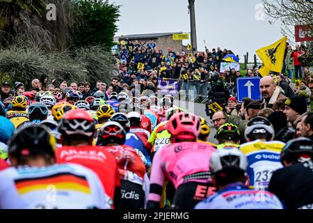 Oudenaarde, Belgien. 02. April 2023. Das Reiterpaket, das während des Herrenrenrenrenrennen der eintägigen Radtour „Ronde van Vlaanderen/Tour des Flandres/Tour of Flanders“, 273,4km Uhr, von Brügge nach Oudenaarde, Sonntag, den 02. April 2023, in Aktion gezeigt wurde. BELGA PHOTO DIRK WAEM Credit: Belga News Agency/Alamy Live News Stockfoto