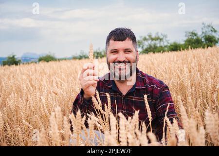 Reifer Bauer, der Weizen hält und in die Kamera schaut, mit einer erfolgreichen Einstellung auf einem Getreidefeld lächelt. Vorderansicht eines Arbeiters, der die Qualität der Ernte mit den guten Ergebnissen zufrieden prüft. Hochwertiges Foto Stockfoto