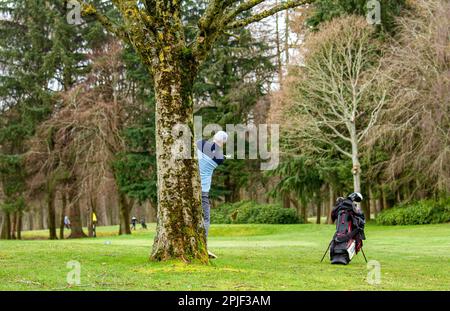 Dundee, Tayside, Schottland, Großbritannien. 2. April 2023. UK Weather: Ein Tag im Downfield Golf Club. Im Nordosten Schottlands gibt es gutes Frühjahrswetter für Golf, obwohl es meist bewölkt ist, mit Temperaturen von durchschnittlich etwa 9°C. Während des angenehmen Aprilwetters spielen örtliche Golfspieler morgens auf dem Golfplatz. Neben charmanten Stadtvierteln und einem benachbarten 18-Loch-Golfplatz bietet Ardler Village viel Freifläche. Kredit: Dundee Photographics/Alamy Live News Stockfoto