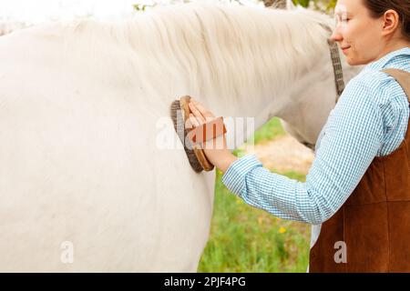 Eine junge, schöne Frau in einem blauen Hemd putzt ein weißes Pferd. Bürste, Pflege. Liebe, Fürsorge für Tiere. Natur, Frühling, grünes Gras. Freundschaft Stockfoto