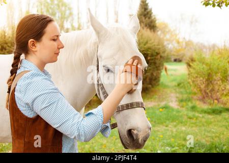 Eine junge, schöne Frau in einem blauen Hemd putzt ein weißes Pferd. Bürste, Pflege. Liebe, Fürsorge für Tiere. Natur, Frühling, grünes Gras. Freundschaft hatte Stockfoto