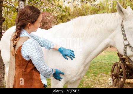 Eine junge, schöne Tierärztin inspiziert ein weißes Pferd. Liebe, Medizin, Tierpflege, Vertrauen, Glück, Gesundheit. Schulter, Muskelverstauchung. Schmerzkrankheiten Stockfoto
