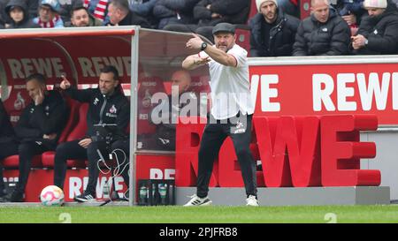 Köln, Deutschland. 02. April 2023. firo : 2. April 2023, Fußball, 1. Liga, 1. Bundesliga, Staffel 2022/2023, 1. FC Köln - Gladbach, Borussia Monchengladbach Coach Steffen BAUMGART, Köln, Gesture Credit: dpa/Alamy Live News Stockfoto