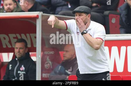 Köln, Deutschland. 02. April 2023. firo : 2. April 2023, Fußball, 1. Liga, 1. Bundesliga, Staffel 2022/2023, 1. FC Köln - Gladbach, Borussia Monchengladbach Coach Steffen BAUMGART, Köln, Gesture Credit: dpa/Alamy Live News Stockfoto