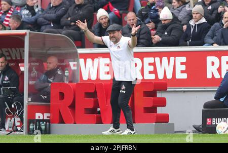 Köln, Deutschland. 02. April 2023. firo : 2. April 2023, Fußball, 1. Liga, 1. Bundesliga, Staffel 2022/2023, 1. FC Köln - Gladbach, Borussia Monchengladbach Coach Steffen BAUMGART, Köln, Gesture Credit: dpa/Alamy Live News Stockfoto