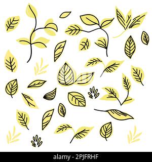 Leaves mit schwarzer Kontur Stock Vektor