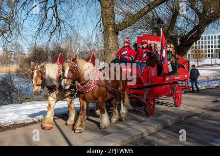 Jütland-Zugpferde ziehen Sinebrychoff-Werbewagen voller Leute im Hesperia Park, Helsinki, Finnland Stockfoto