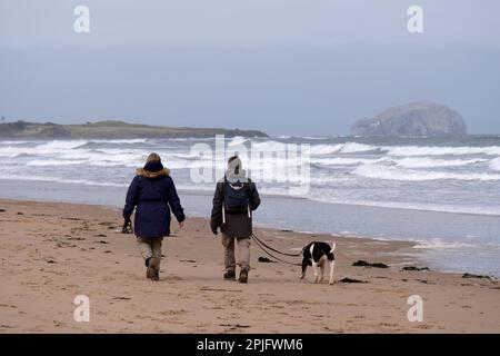 Dunbar, Schottland, Großbritannien. 2. April 2023 Menschen, die das sonnige, aber trügerisch kalte Wetter entlang der östlichen Lothian Küste in Belhaven Bay genießen. Temperatur um 5C Grad in der Brise. Blick über die vierte Mündung in Richtung Bass Rock. Mit den Hunden am Strand spazieren gehen. Kredit: Craig Brown/Alamy Live News Stockfoto