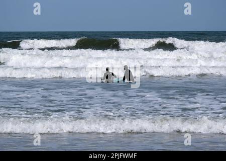 Dunbar, Schottland, Großbritannien. 2. April 2023 Menschen, die das sonnige, aber trügerisch kalte Wetter entlang der östlichen Lothian Küste in Belhaven Bay genießen. Temperatur um 5C Grad in der Brise. Surfen auf den Wellen. Kredit: Craig Brown/Alamy Live News Stockfoto