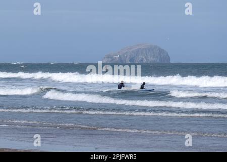 Dunbar, Schottland, Großbritannien. 2. April 2023 Menschen, die das sonnige, aber trügerisch kalte Wetter entlang der östlichen Lothian Küste in Belhaven Bay genießen. Temperatur um 5C Grad in der Brise. Blick über die vierte Mündung in Richtung Bass Rock. Surfen auf den Wellen. Kredit: Craig Brown/Alamy Live News Stockfoto