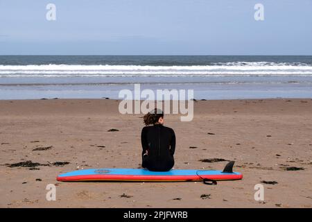 Dunbar, Schottland, Großbritannien. 2. April 2023 Menschen, die das sonnige, aber trügerisch kalte Wetter entlang der östlichen Lothian Küste in Belhaven Bay genießen. Temperatur um 5C Grad in der Brise. Am Strand auf einem Surfbrett sitzen. Kredit: Craig Brown/Alamy Live News Stockfoto