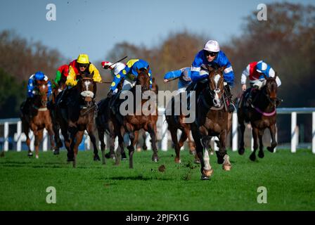 Ivaldi und Harry Cobden nehmen die Ascot Shop Handicap Hürde für Trainer Paul Nicholls und die Besitzerin Mrs Johnny De La Hey. Stockfoto