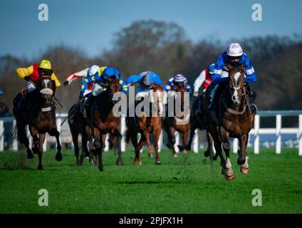 Ivaldi und Harry Cobden nehmen die Ascot Shop Handicap Hürde für Trainer Paul Nicholls und die Besitzerin Mrs Johnny De La Hey. Stockfoto