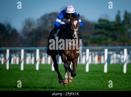 Ivaldi und Harry Cobden nehmen die Ascot Shop Handicap Hürde für Trainer Paul Nicholls und die Besitzerin Mrs Johnny De La Hey. Stockfoto