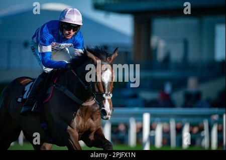 Ivaldi und Harry Cobden nehmen die Ascot Shop Handicap Hürde für Trainer Paul Nicholls und die Besitzerin Mrs Johnny De La Hey. Stockfoto