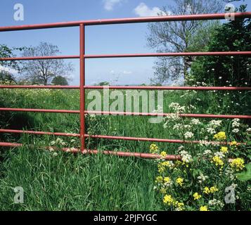 Vereinigtes Königreich. England. Somerset. Gateway zu Feld. Stockfoto