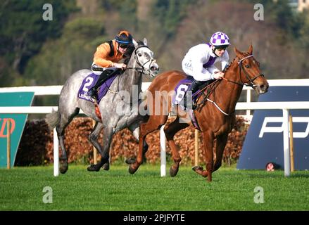 Purple Gown Ridted by Jockey Luke McAteer (rechts) gewinnt das Leopardstown Family Day Handicap am Sonntag, den 7. Mai, mit Maggie und mir, geritten vom Jockey Jake Coen Second während des Ballylinch Stud Classic Trials Day auf der Leopardstown Racecourse. Foto: Sonntag, 2. April 2023. Stockfoto