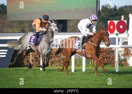 Purple Gown Ridted by Jockey Luke McAteer (rechts) gewinnt das Leopardstown Family Day Handicap am Sonntag, den 7. Mai, mit Maggie und mir, geritten vom Jockey Jake Coen Second während des Ballylinch Stud Classic Trials Day auf der Leopardstown Racecourse. Foto: Sonntag, 2. April 2023. Stockfoto