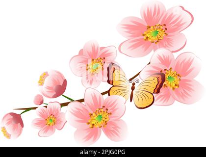 Ast mit Frühlingsblumen. Realistischer Obstbaumzweig. Handgezeichnetes detailliertes Clip-Art-Element auf weißem Hintergrund für Ihr Design, Postkarten Stock Vektor